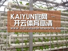 环境展示六