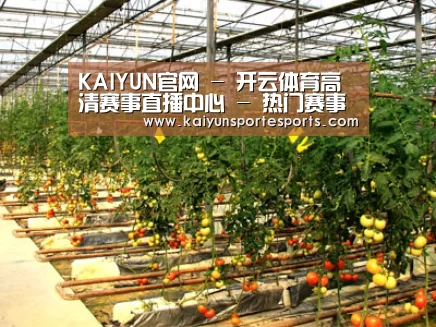 种植基地二
