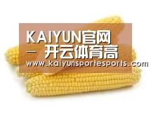 产品名称五