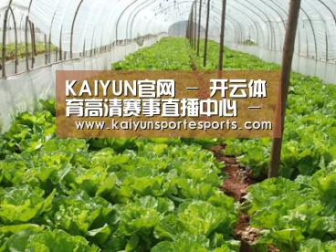 种植基地五