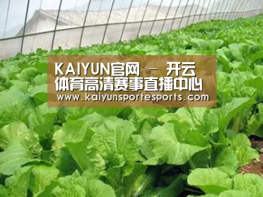 种植基地一