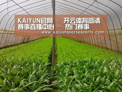 种植基地四