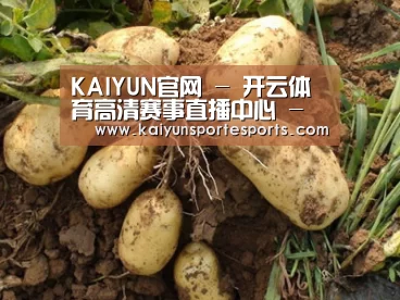 种植基地六
