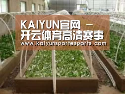 环境展示五
