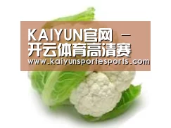 产品名称九