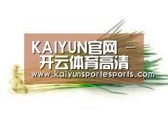 产品名称二