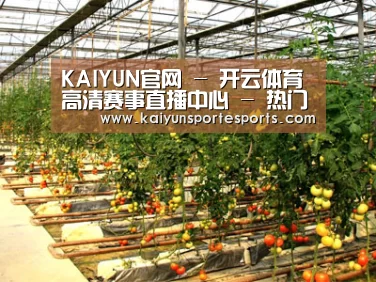 种植基地二(图1)