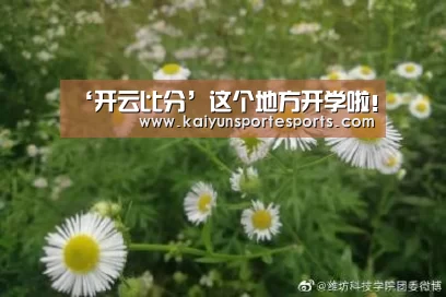 开云热门赛事